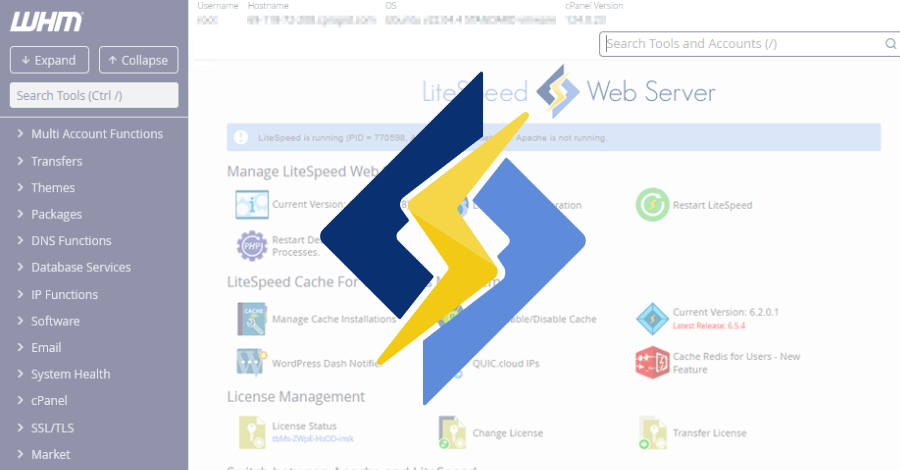 Kritieke kwetsbaarheid in LiteSpeed cPanel-plugin actief misbruikt