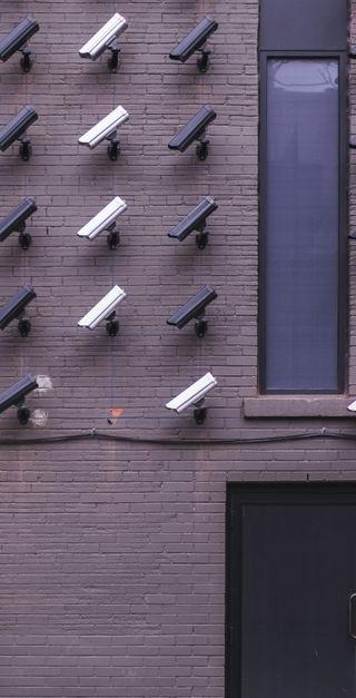 NCSC waarschuwt voor actief misbruik kritisch WordPress-lek