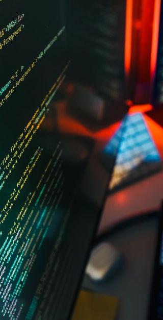 NCSC waarschuwt voor snel misbruik van kritiek WordPress-lek
